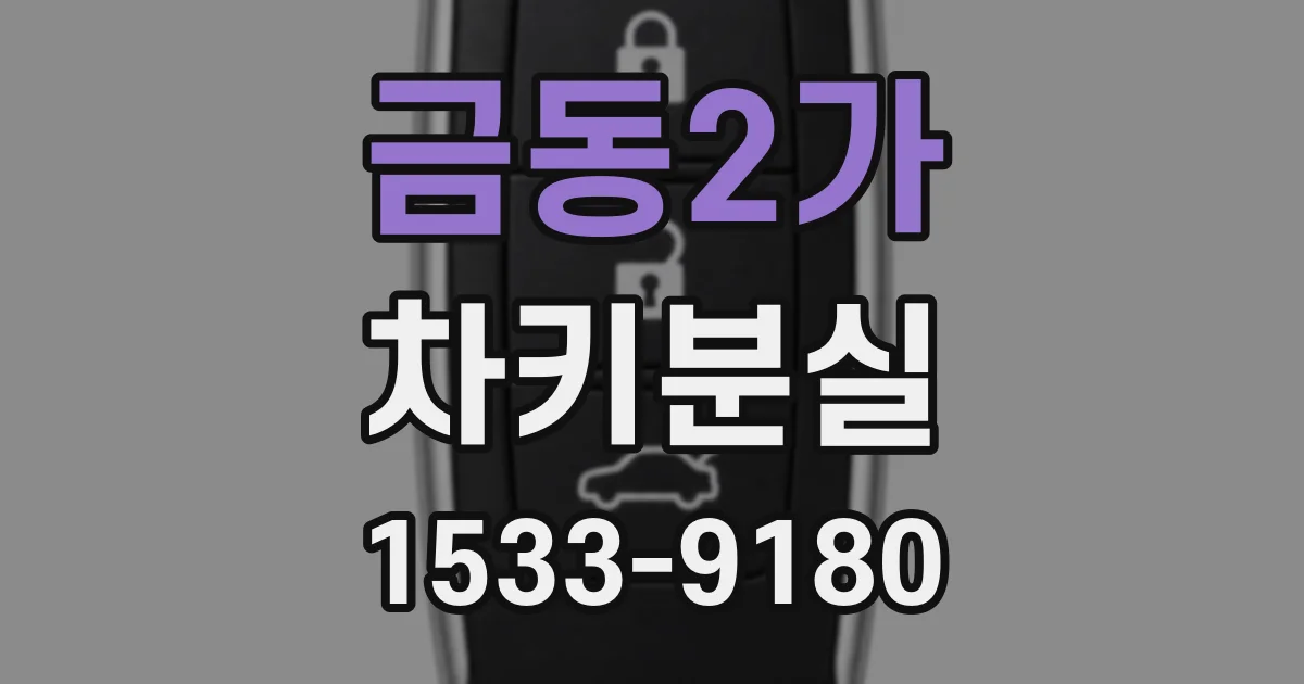 금동2가 차키분실