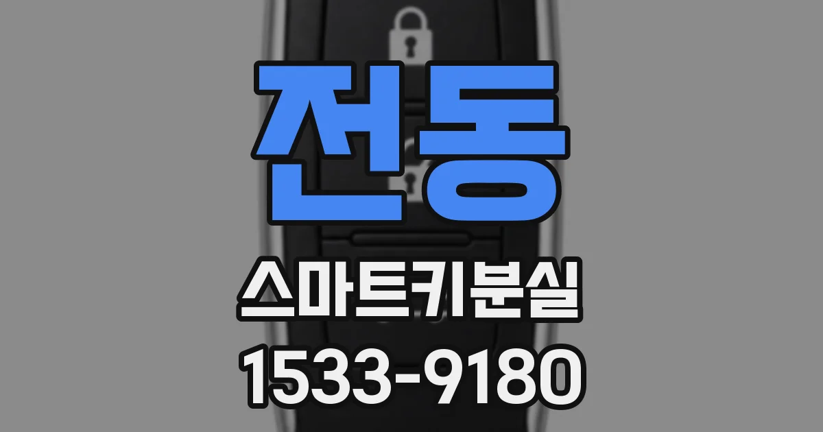 전동 스마트키분실