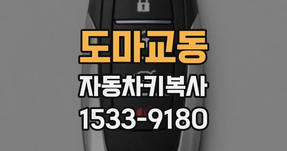 도마교동 자동차키복사