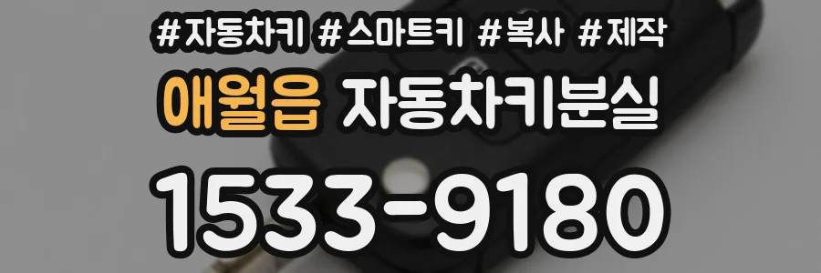 애월읍 자동차키분실