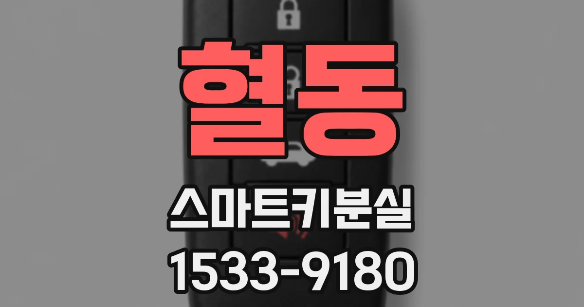 혈동 스마트키분실