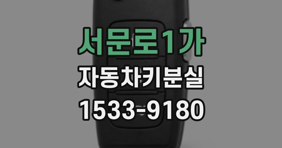 서문로1가 자동차키분실