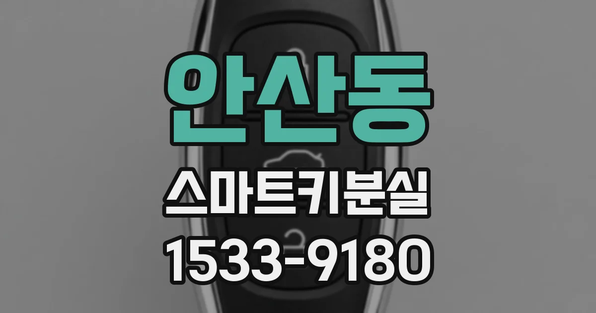 안산동 스마트키분실