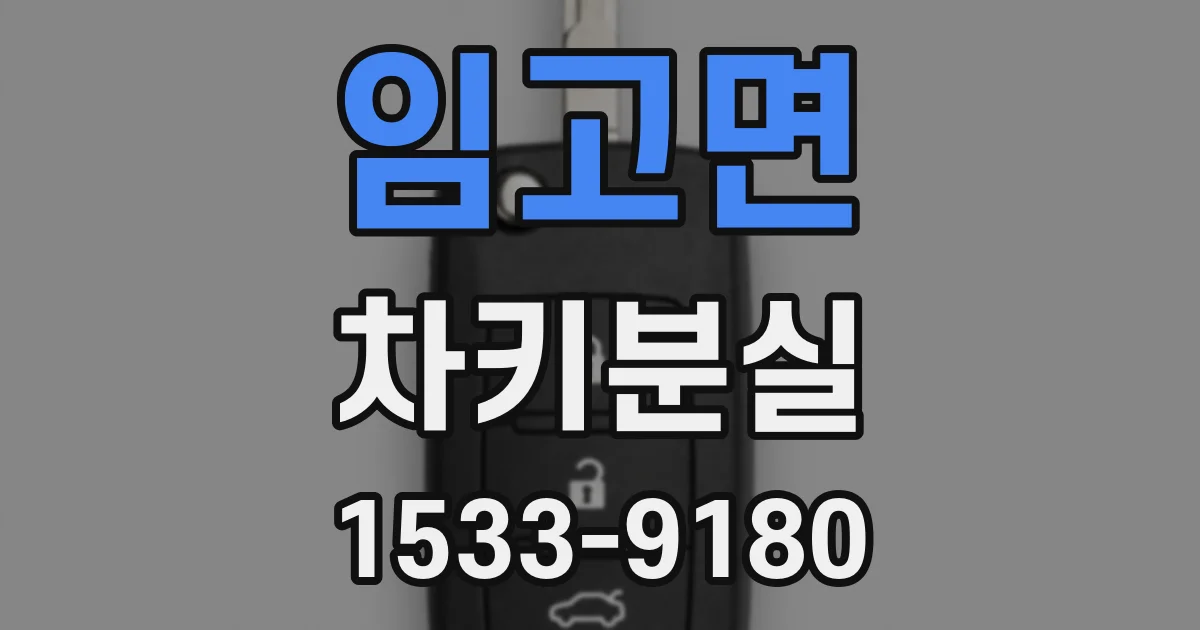 임고면 차키분실