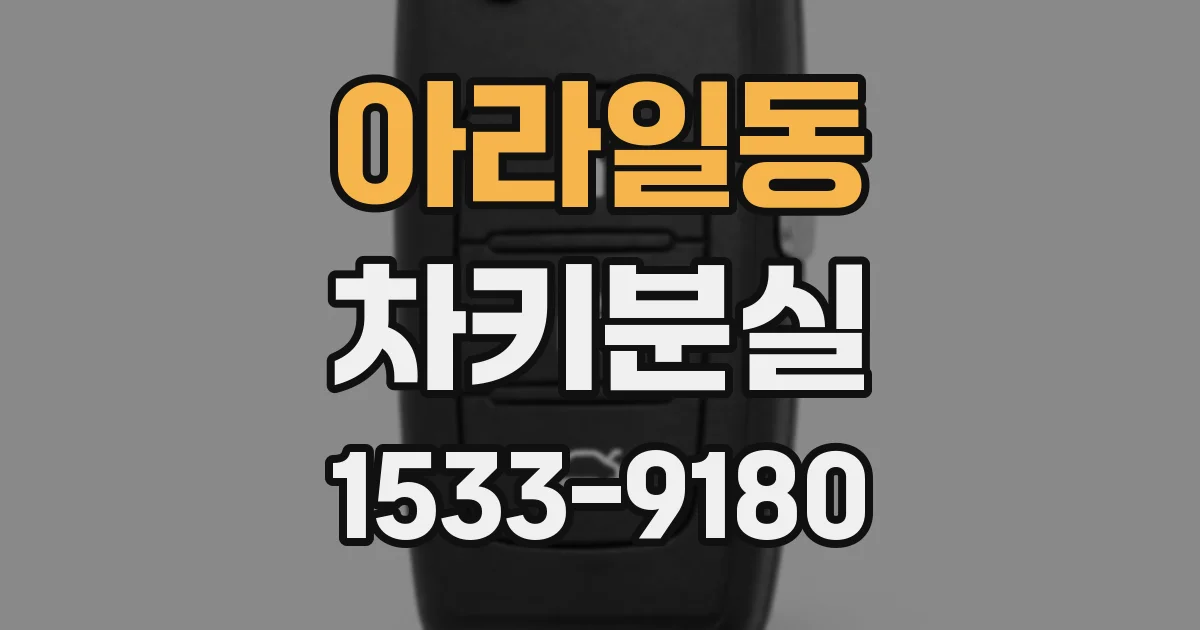 아라일동 차키분실