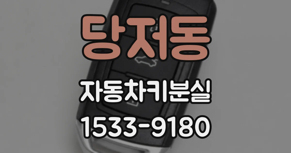 당저동 자동차키분실