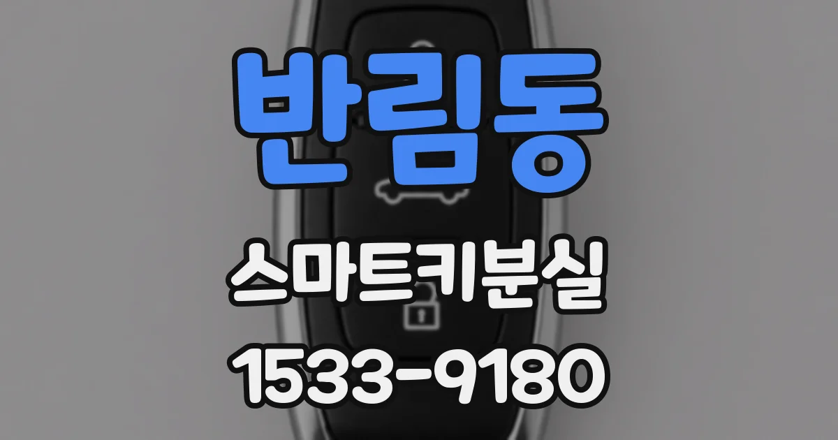 반림동 스마트키분실