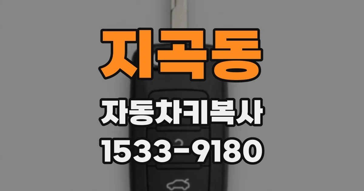 지곡동 자동차키복사