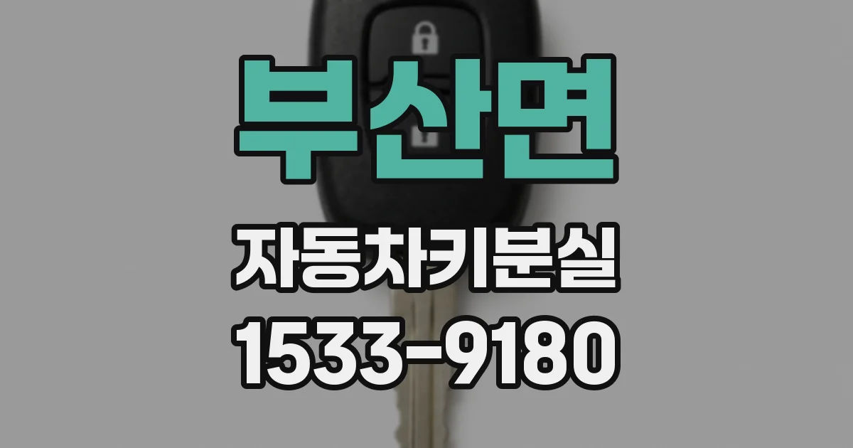 부산면 자동차키분실