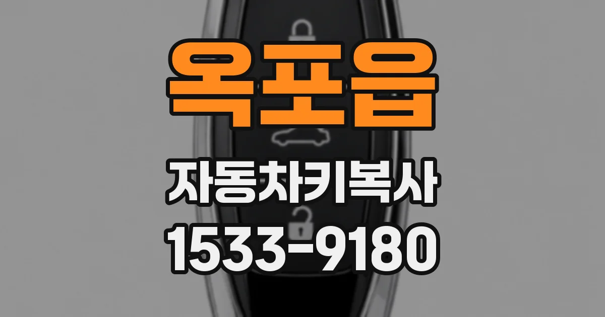 옥포읍 자동차키복사