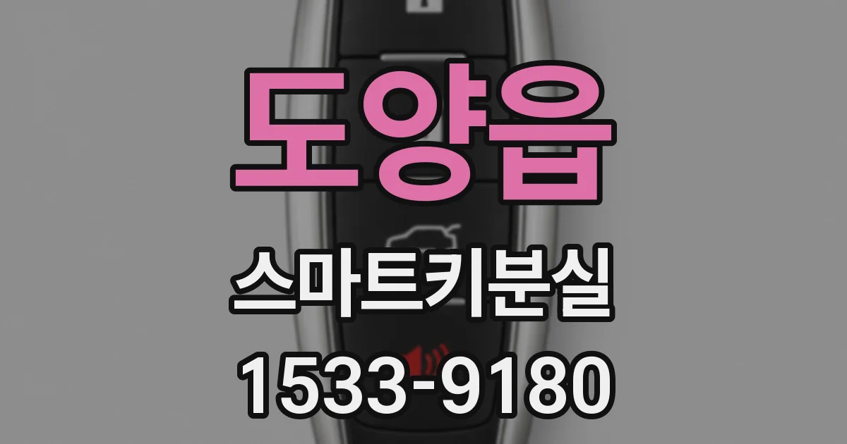 도양읍 스마트키분실