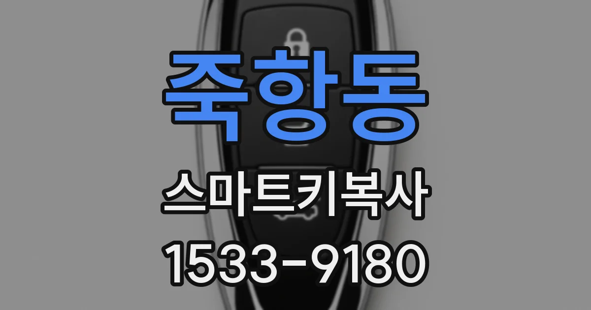 죽항동 스마트키복사