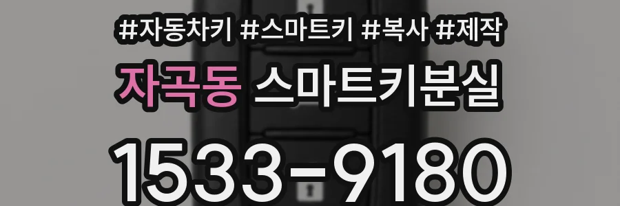 자곡동 스마트키분실