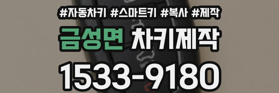 금성면 차키제작