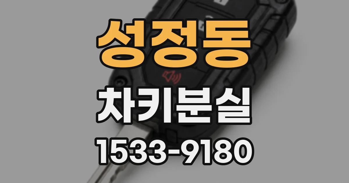 성정동 차키분실