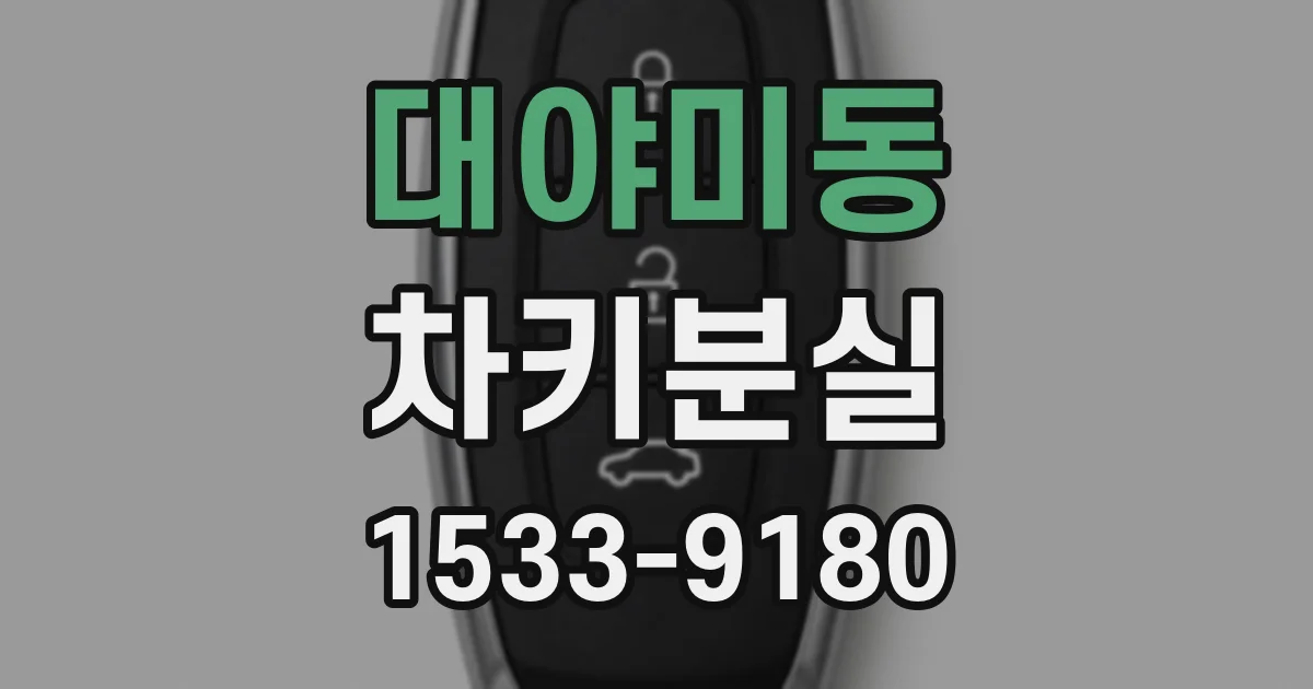대야미동 차키분실