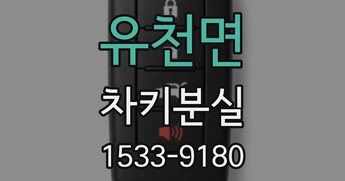유천면 차키분실