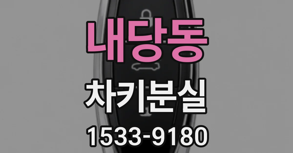 내당동 차키분실