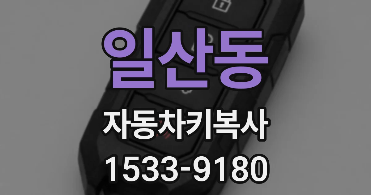 일산동 자동차키복사