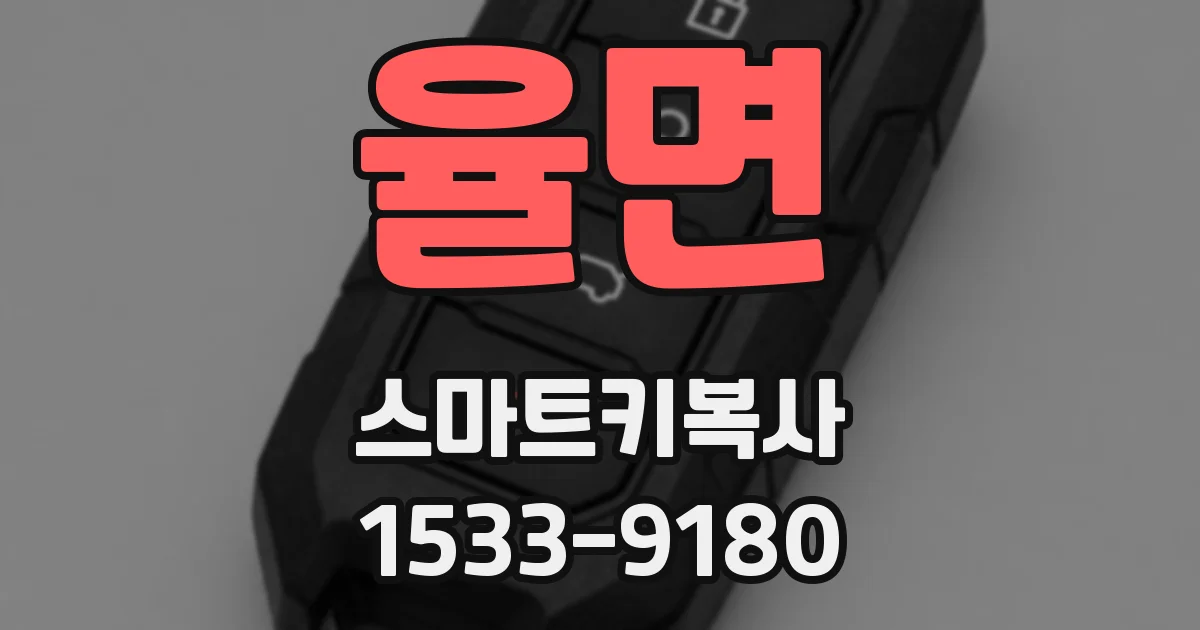 율면 스마트키복사