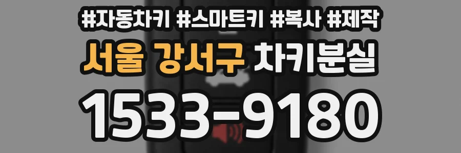 서울 강서구 차키분실