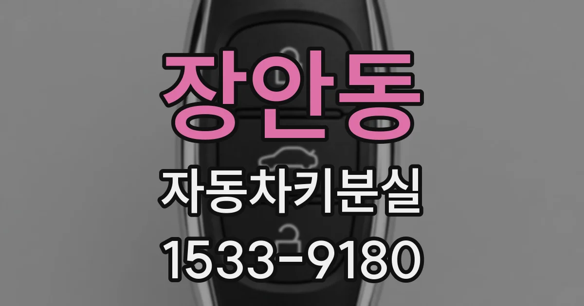 장안동 자동차키분실