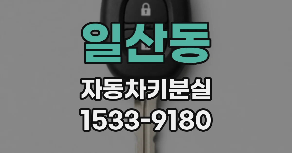 일산동 자동차키분실