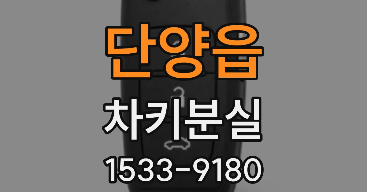 단양읍 차키분실