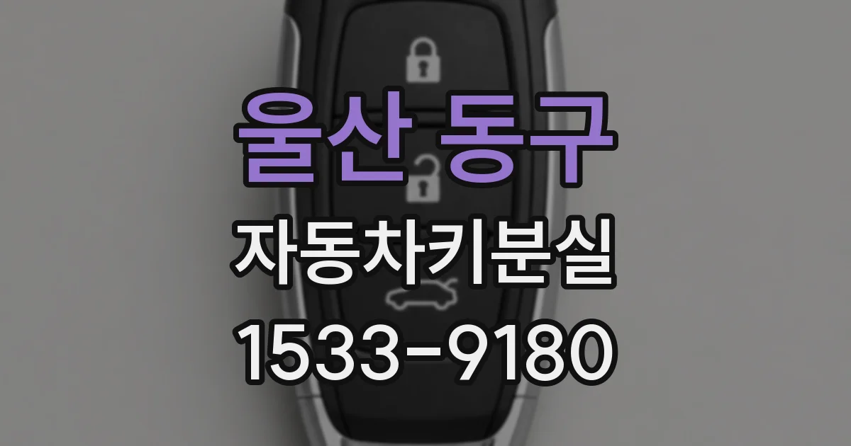 울산 동구 자동차키분실