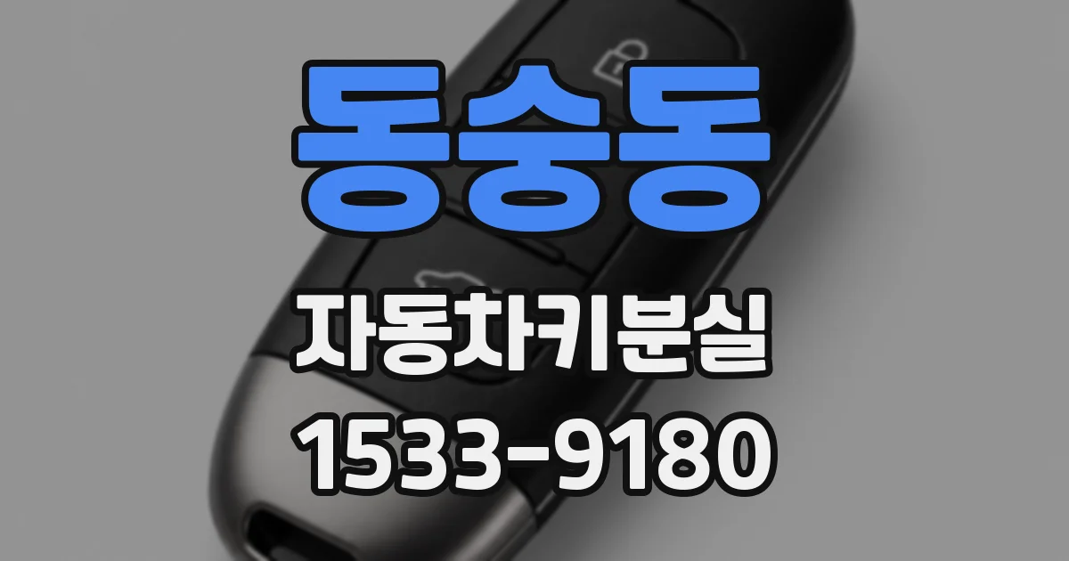 동숭동 자동차키분실