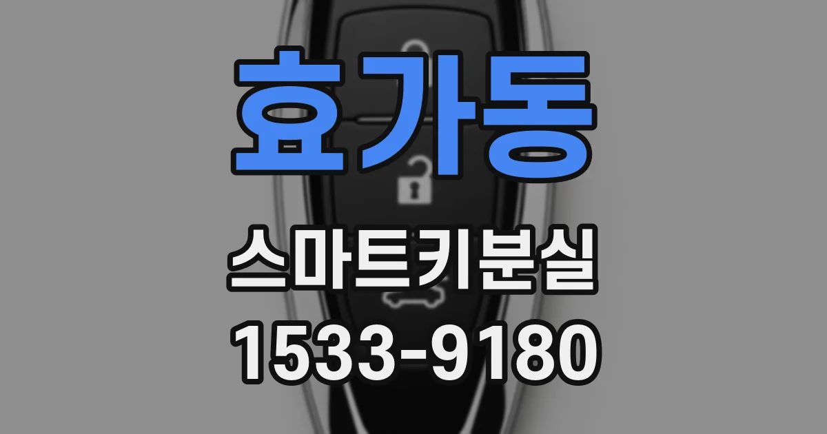 효가동 스마트키분실