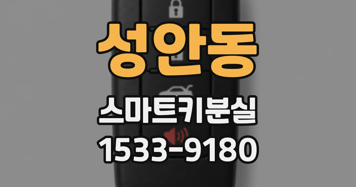 성안동 스마트키분실