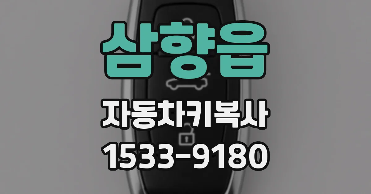 삼향읍 자동차키복사