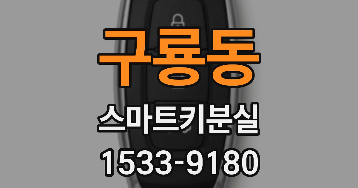 구룡동 스마트키분실