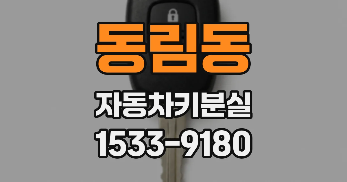 동림동 자동차키분실
