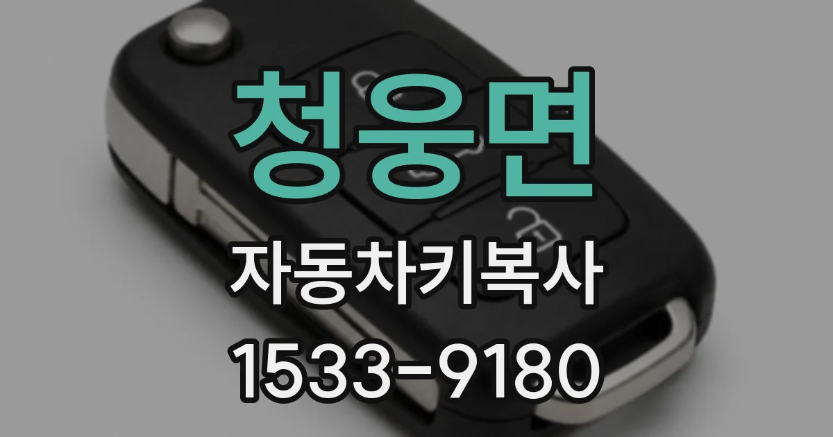 청웅면 자동차키복사