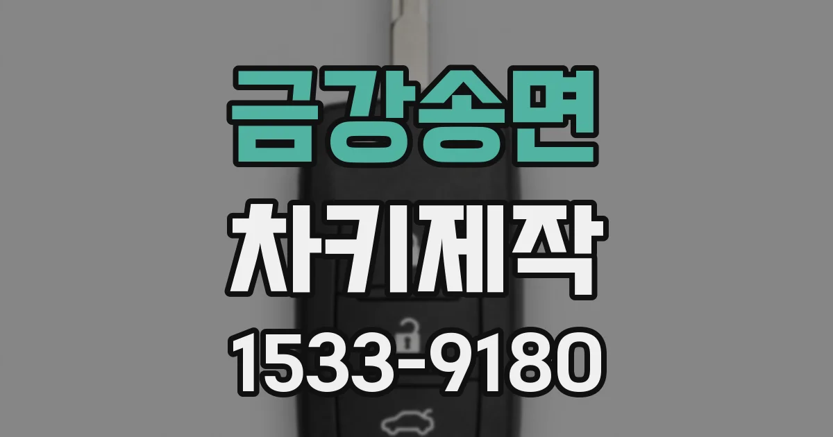 금강송면 차키제작