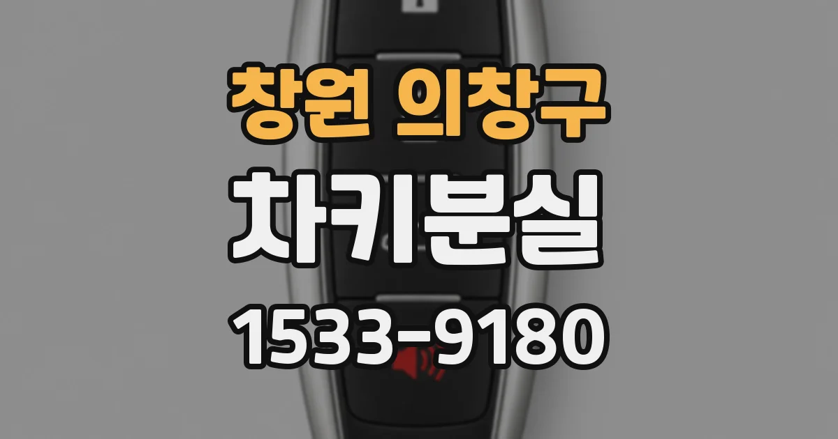 창원 의창구 차키분실