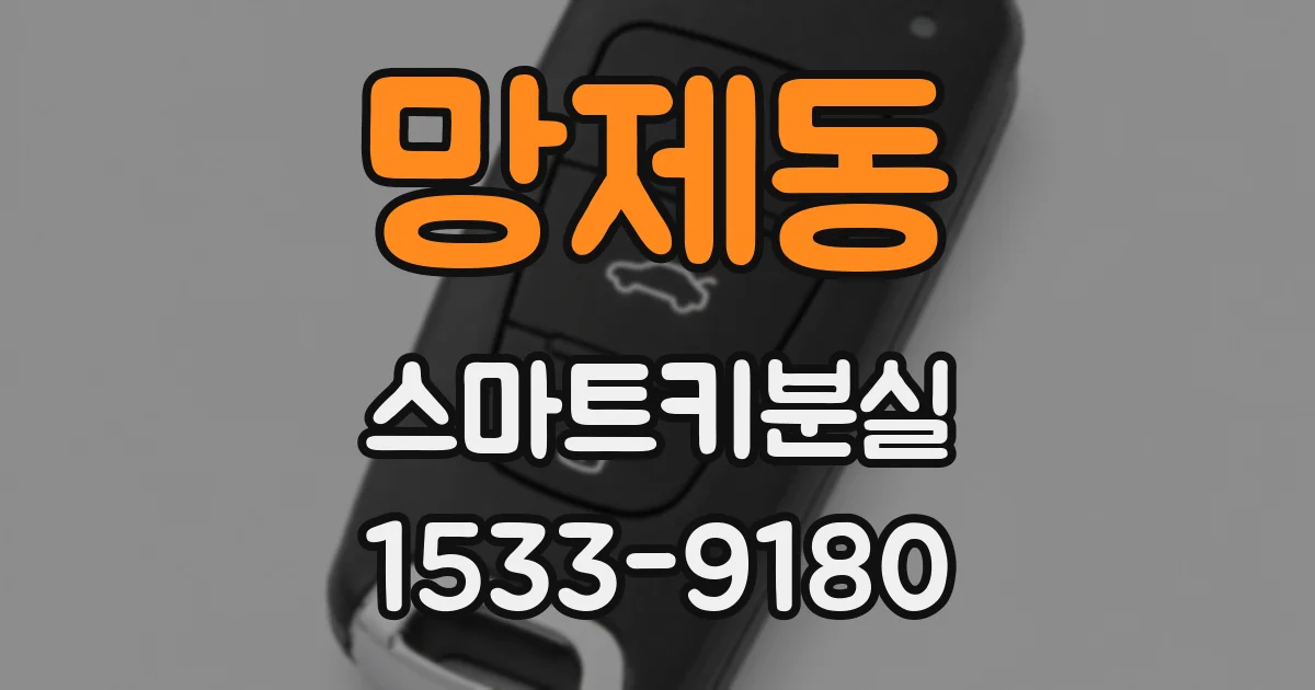 망제동 스마트키분실