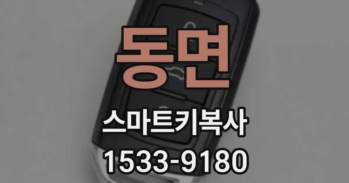 동면 스마트키복사