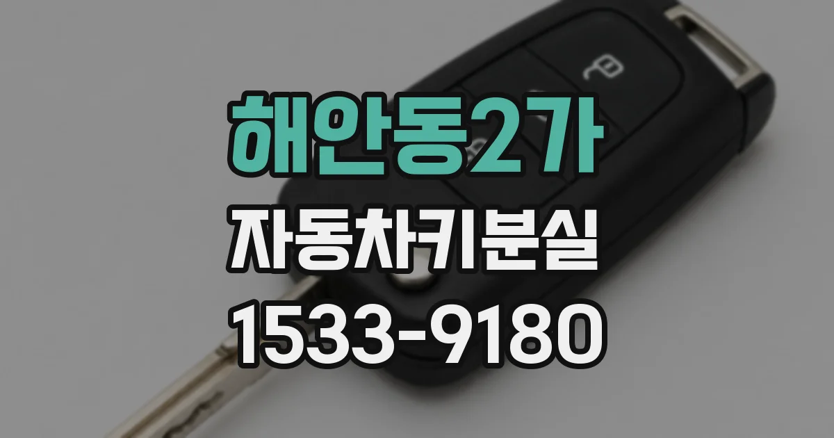 해안동2가 자동차키분실
