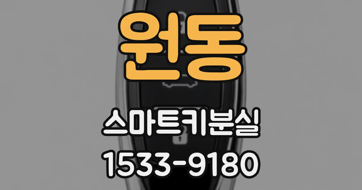 원동 스마트키분실