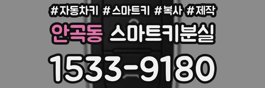 안곡동 스마트키분실