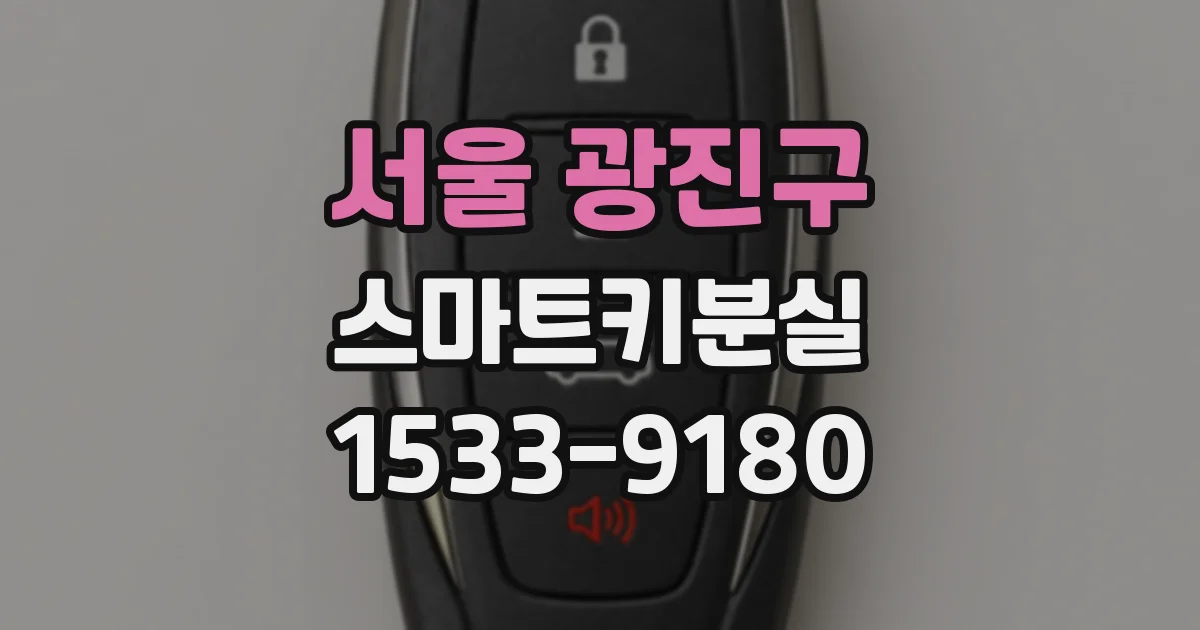 서울 광진구 스마트키분실