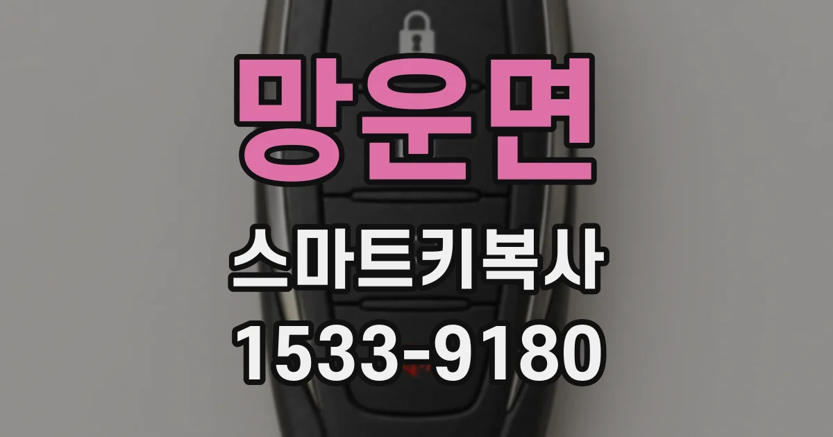 망운면 스마트키복사