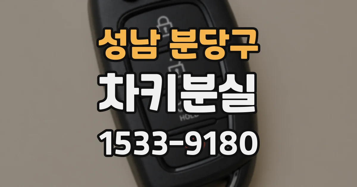 성남 분당구 차키분실