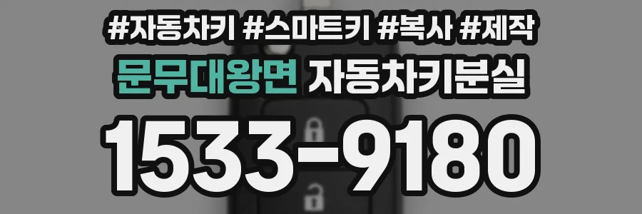 문무대왕면 자동차키분실