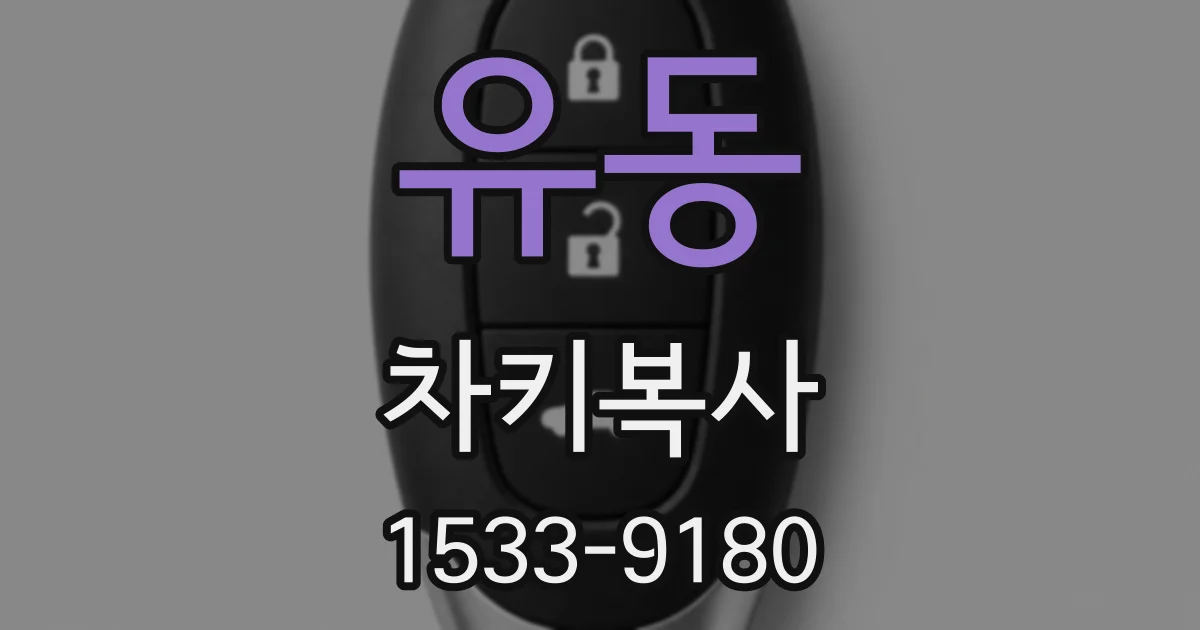 유동 차키복사