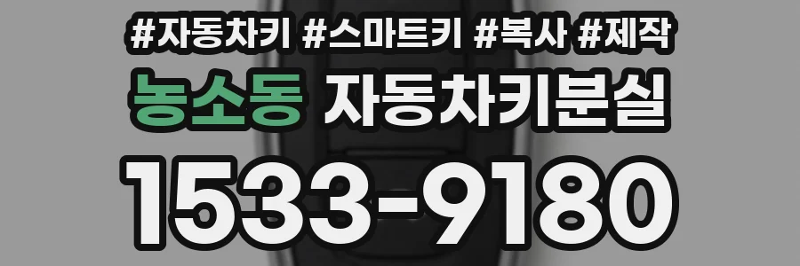 농소동 자동차키분실