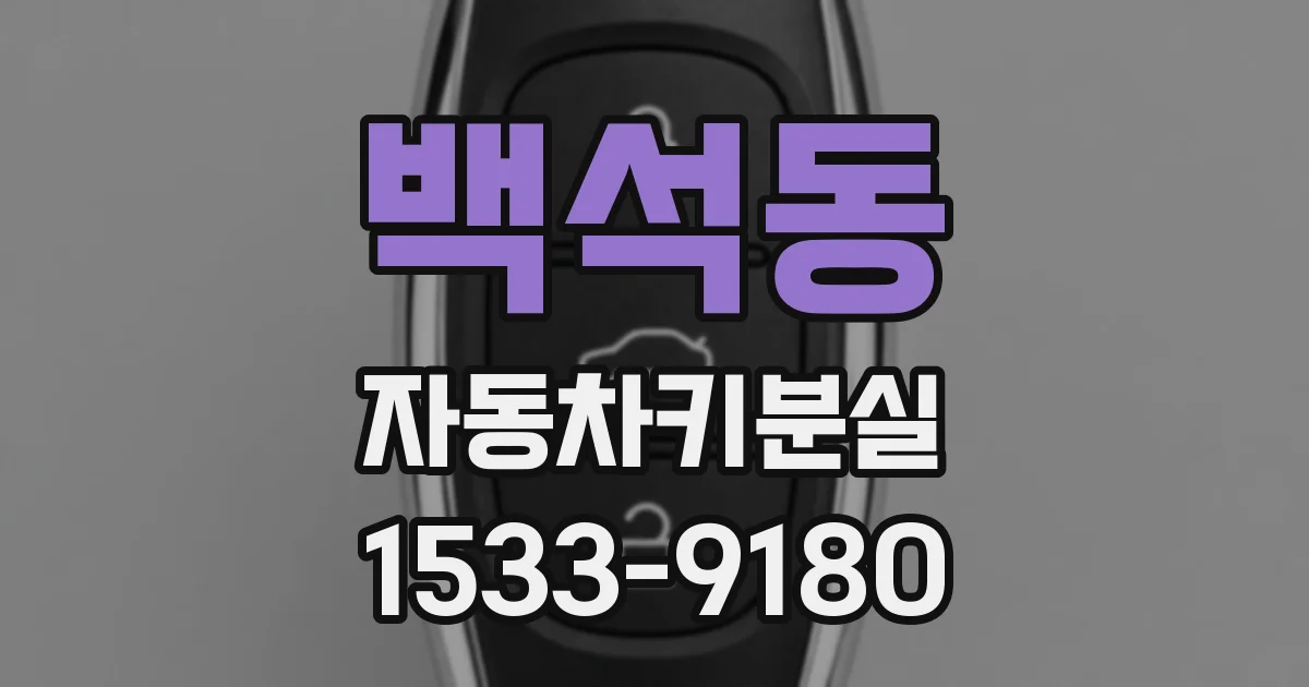 백석동 자동차키분실